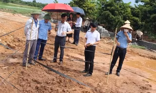 Đề xuất khai quật khẩn cấp mộ cổ vừa phát hiện ở Hà Nội
