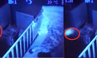 Camera phòng ngủ của con gái ghi lại cảnh sởn gai ốc