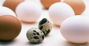 Cách kéo dài tuổi thọ đơn giản nhờ ăn trứng