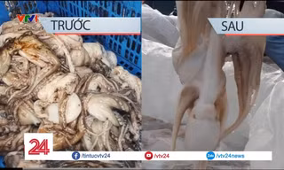Thủ đoạn biến bạch tuộc bẩn thành bạch tuộc sạch