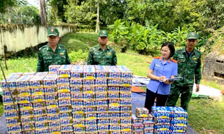 Truy tìm chủ nhân hơn 583kg pháo trong rẫy cà phê