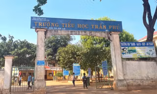 Xử lý hiệu trưởng buộc thôi việc kế toán sai quy định