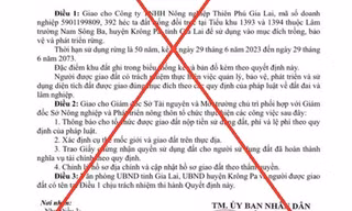 Giả quyết định tỉnh Gia Lai giao đất trồng rừng cho doanh nghiệp để... 'làm màu' với bạn bè