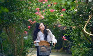 Ngắm những đường hoa tường vi đẹp như cổ tích giữa lòng Hà Nội
