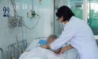 Người đàn ông nguy kịch vì ăn ve sầu tưởng đông trùng hạ thảo