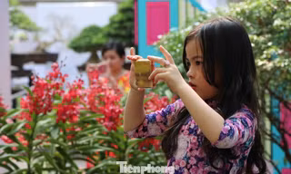 Dân Sài Gòn kéo nhau vào hội hoa xuân chụp hình 'tự sướng' ngày cận tết