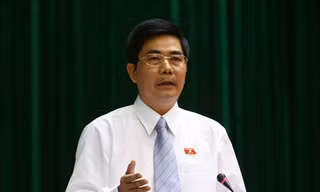 Không cho nước ngoài thuê đất trồng rừng