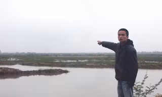 Đầm nuôi trồng của ông Lê Đình Thảo, sau 3 năm để không, đã được huyện Tiên Lãng cho người khác thuê