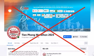 Cảnh giác trước trang page giả mạo Tiền Phong Marathon