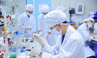 Hiệu trưởng Trường Đại học Khoa học Công nghệ Hà Nội (USTH) dự báo những nhóm ngành học được săn đón trong tương lai