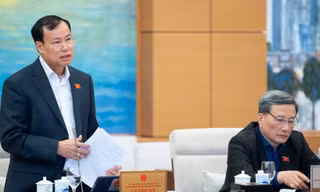 Bổ sung dao có tính sát thương cao vào danh mục vũ khí thô sơ