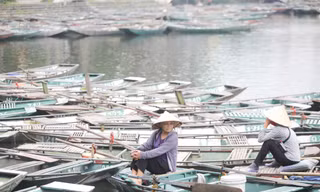 Nữ lái đò Tam Cốc, Bích Động thất nghiệp vì dịch COVID-19