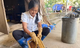 Nuôi ong lấy mật giúp người dân Lai Châu thoát nghèo