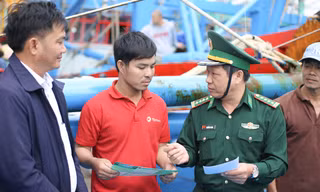 Bình Định: Thành lập ngay 3 tổ công tác để tuần tra, xử lý tàu cá vi phạm
