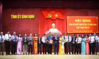 Chủ tịch Bình Định Phạm Anh Tuấn làm Bí thư Đảng ủy UBND tỉnh