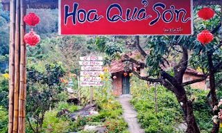 Khu du lịch tự phát Hoa Quả Sơn 'mọc' trên núi ở Bình Định