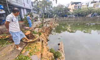 Quy Nhơn chi hơn 3 tỷ đồng chống sạt lở kè Bàu Sen