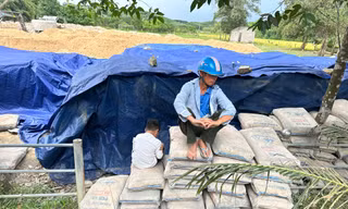 Để hơn 200 tấn xi măng hư hỏng, chủ tịch xã bị bắt