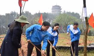 Tuổi trẻ Hà Tĩnh cùng hành động chào mừng thành công Đại hội Đoàn toàn quốc