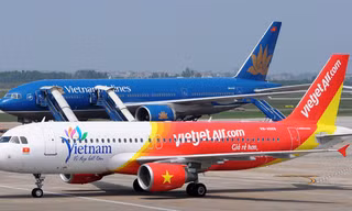 Chim va vào máy bay VietJetAir
