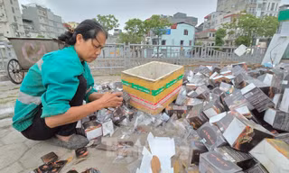Hàng nghìn sản phẩm thực phẩm chức năng bị 'đổ trộm' tại Hà Nội