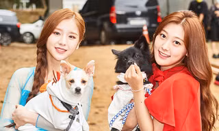 Xuất hiện dàn “boss cưng” sang chảnh của hội idol khi tham gia Đại hội thể thao K-Pop 2020
