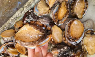 Hà Nội không khan hàng khẩu trang y tế và nước sát khuẩn, loạn giá bào ngư trên chợ mạng