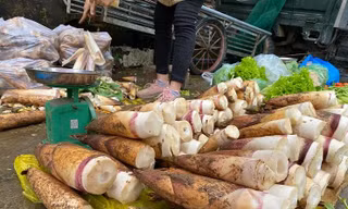 ‘Lộc rừng’ xuống phố thành đặc sản; nhận biết chuối nhúng hoá chất để ép chín