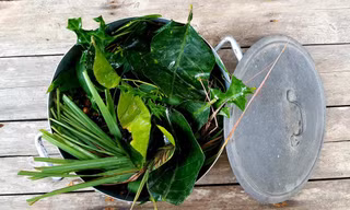 Thị trường lá xông nhộn nhịp trong bối cảnh ca F0 tăng mạnh