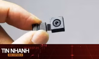TIN NHANH: 12.000 giáo viên bị rà soát sau vụ nữ sinh bị chụp lén hình nhạy cảm ở Nhật
