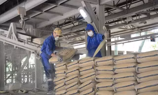 Báo cáo Thủ tướng việc dư thừa hàng triệu tấn xi măng