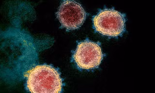 Phương pháp xét nghiệm nhằm vào 3 virus mục tiêu có thể cho kết quả sau 20 phút và chính xác 100 %