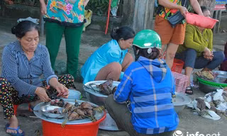 Chim trời nằm la liệt dọc đường, tràn lan ở chợ và trên... bàn nhậu