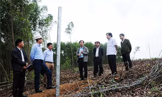 Phó Chủ tịch UBND tỉnh Thừa Thiên Huế Nguyễn Văn Phương (đứng giữa) kiểm tra tình hiện trạng hành lang bảo vệ đường cao tốc La Sơn - Túy Loan, sau khi nhận phản ánh từ báo Tiền Phong. (ảnh thuathienhue.gov.vn)