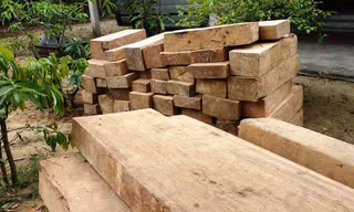 Gần 50 phách gỗ rừng ận chuyển bằng xe tải trên Quốc lộ 1 bị CSGT bắt giữ