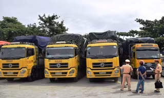 Tạm giữ 4 xe tải chở hàng vượt quá giới hạn chiều dài cho phép, do 4 lái xe không có giấy phép điều khiển