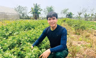 Tiến sĩ du học Nhật bỏ việc về khởi nghiệp với nông nghiệp hữu cơ