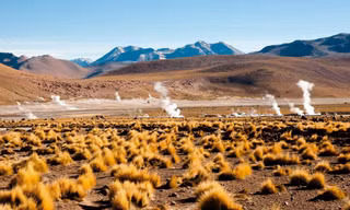 Hoang mạc nào của Chile được xem như là ‘Sao Hỏa trên Trái Đất’?