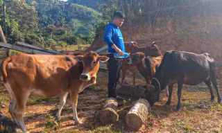 Khởi nghiệp nơi biên cương 
