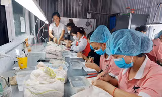Cô gái vùng sâu khởi nghiệp từ yến 