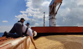Nguy cơ thiếu lương thực toàn cầu 