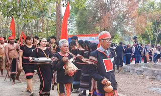 Diệu kỳ xứ voi 