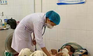 Quảng Ngãi ghi nhận hơn 1.300 ca sốt xuất huyết, tăng gấp 3 lần so với cùng kỳ năm ngoái 