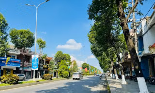 Quảng Ngãi báo cáo gì về các dự án cây xanh sau yêu cầu của cơ quan điều tra Bộ Công an?