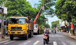 Quảng Ngãi rà soát, cung cấp thông tin, tài liệu các dự án trồng, chăm sóc cây xanh theo yêu cầu Bộ Công an
