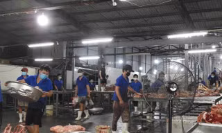 Công ty chế biến thực phẩm Đà Nẵng bị phạt hơn 180 triệu đồng