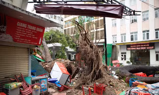 Đại học Quốc gia Hà Nội: nhiều cây lớn bật gốc, đè sập căng tin, ô tô