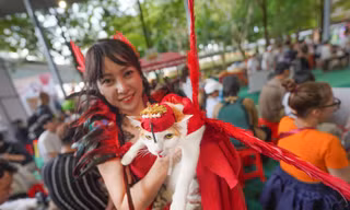 Xem 'ly miêu hóa phượng', chó diễn thời trang