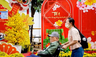 Bệnh nhân ngồi xe lăn ngắm đường hoa đặc biệt trong bệnh viện ngày giáp Tết
