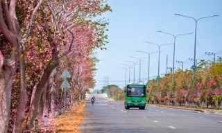 Tuyến đường độc đạo xuyên rừng đẹp như tranh ở TPHCM